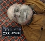 Unidentified John Doe St Louis
