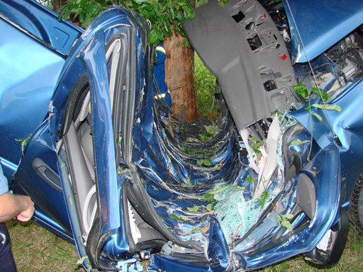Car Crash rapped around a tree.