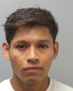 Luis Alejandro Vinalaylopez 