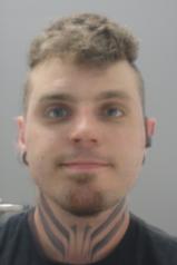 Cody Lane Griggs 
