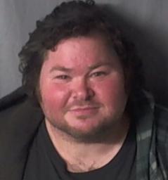 Daniel Tc Chapman 