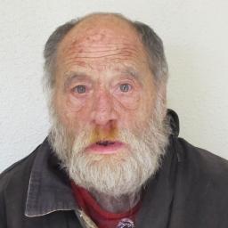 Dennis Lee Minson 